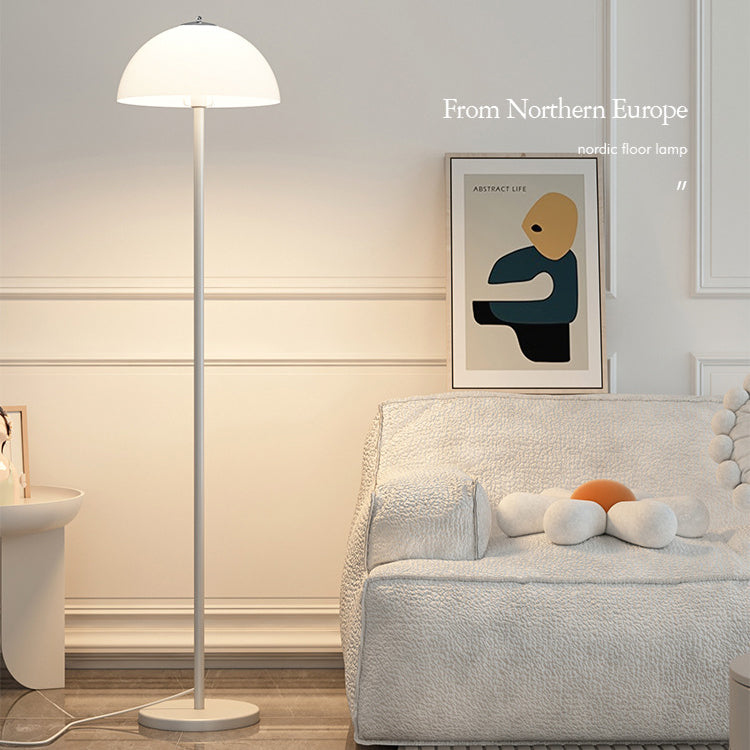 Half Circle Iron Acrylic Floor Lamp