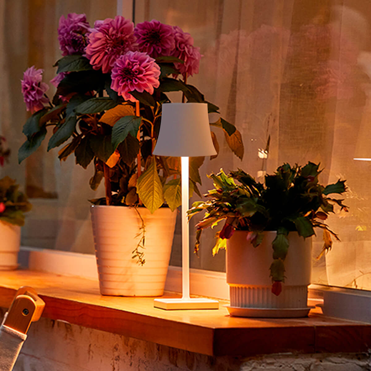 Arc Touch Infinitely Table Lamp