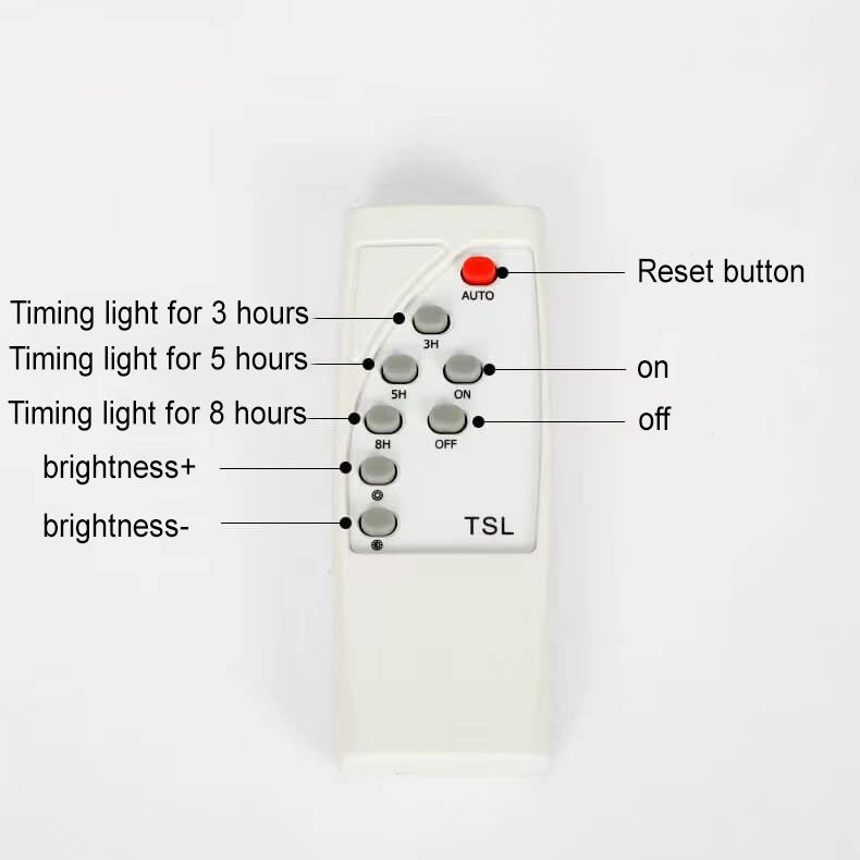 Acrylic Long Strip Outdoor Light