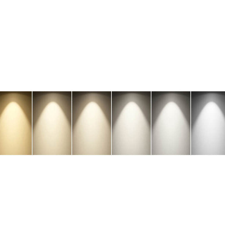 Solid Color Rotatable Aluminum Wall Lamp