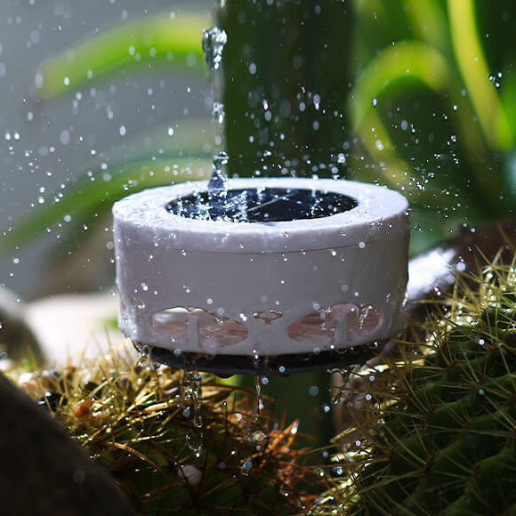 Round Acrylic Outdoor Light