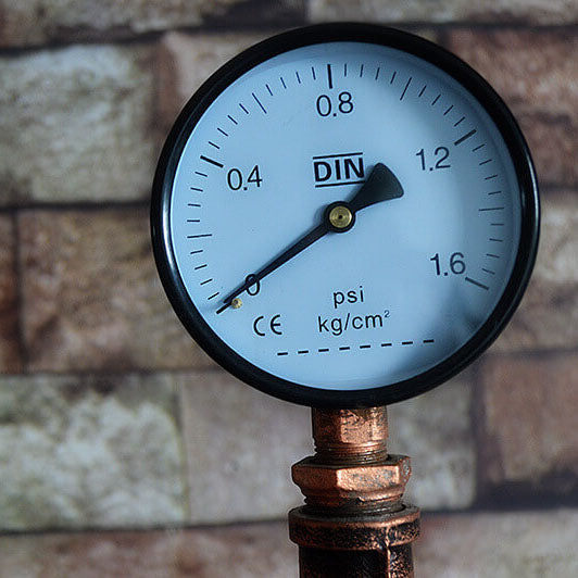 Industrial Steampunk Copper Water 2-Light Floor Lamp