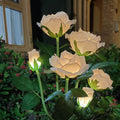 Stainless Steel Silk ABS Outdoor Light