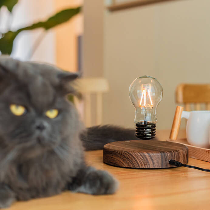 Levitation Walnut Decorative Table Lamp