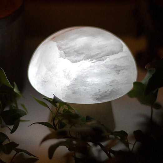 Mushroom Ore Wood Table Lamp