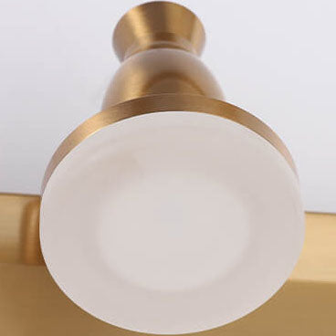 Acrylic Mirror Front Wall Lamp