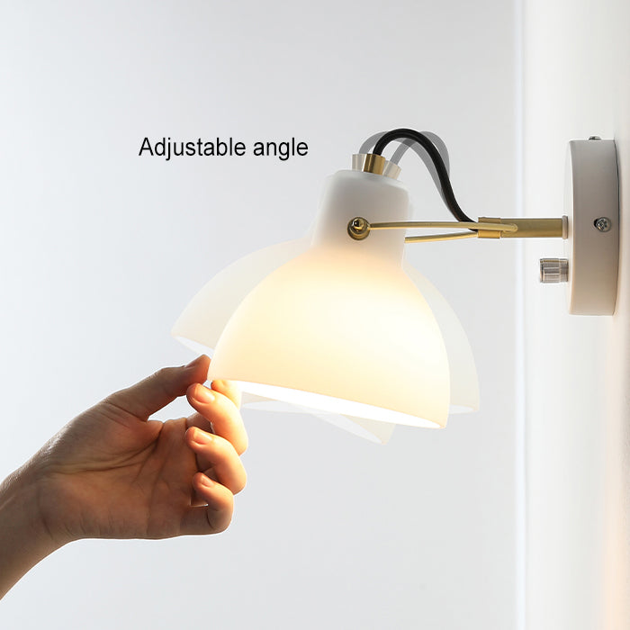 Iron Glass Dome Hemispheroid Wall Lamp