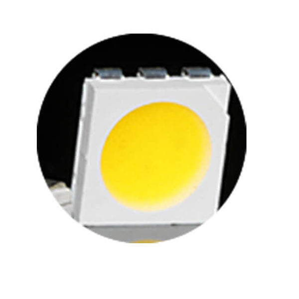 Solar Pool Outdoor Light