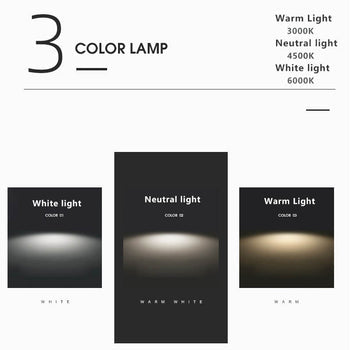 Feather Wall Lamp