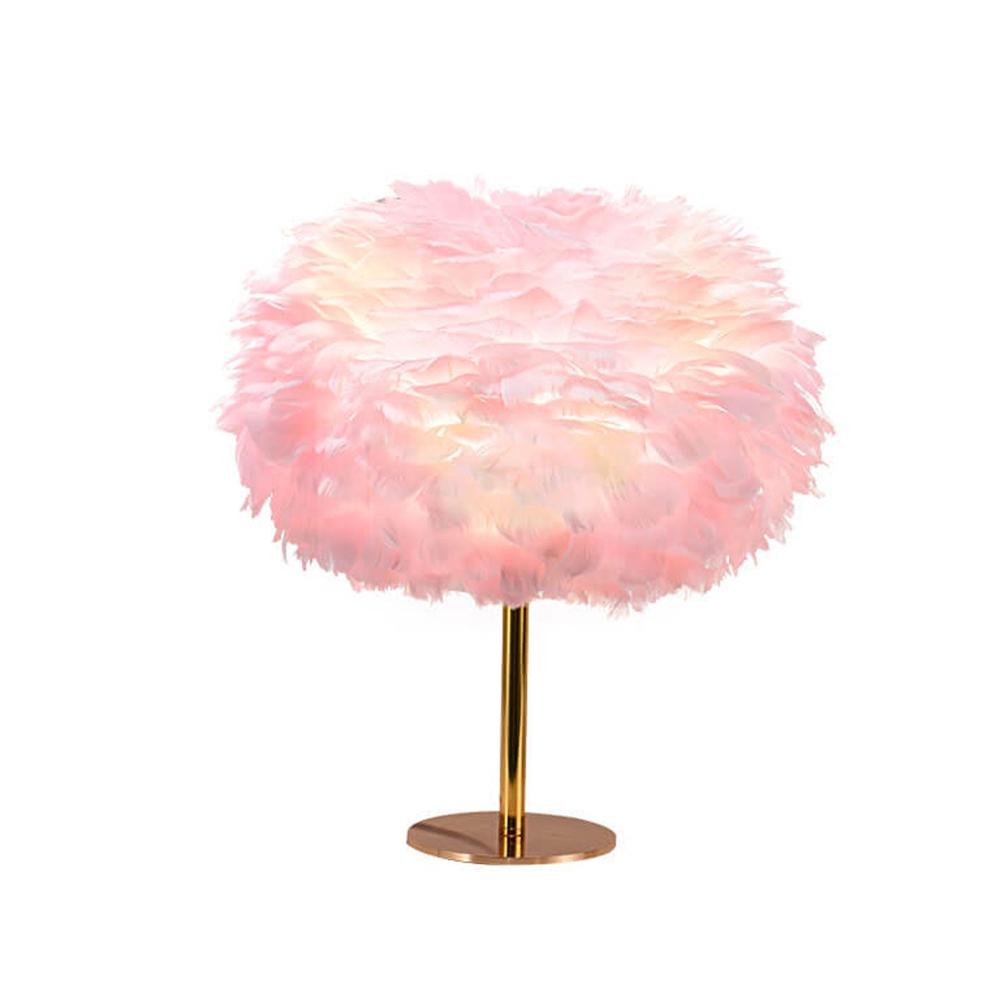 Goose Feather Round Iron Table Lamp