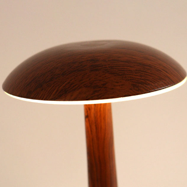 Wood Grain Iron Acrylic Table Lamp