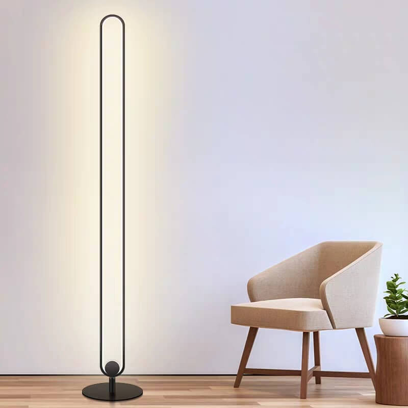 Black Ring Floor Lamp