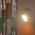 Oval Garden Fence Outdoor Light