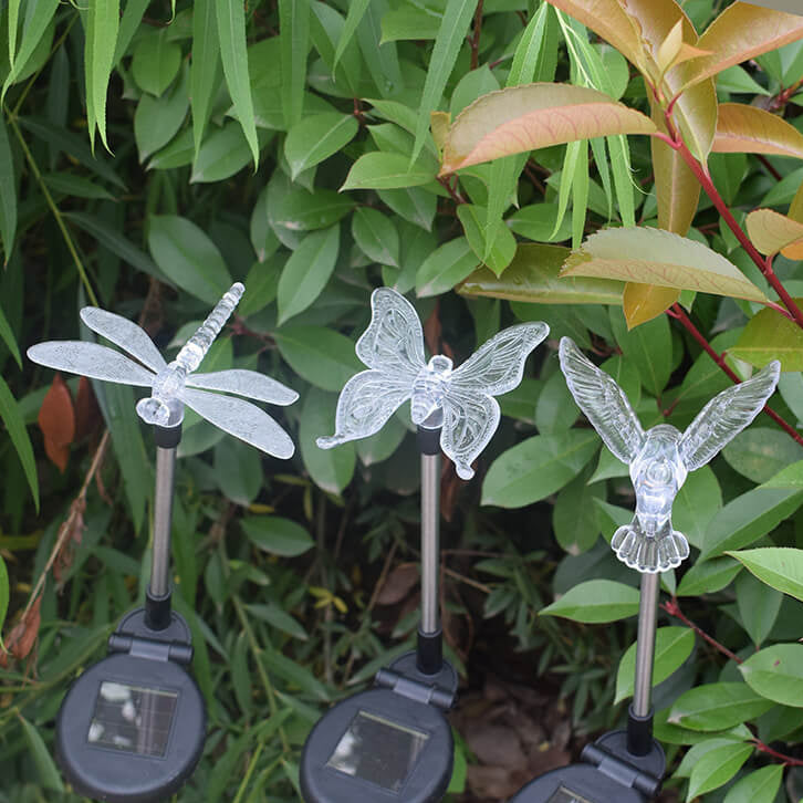 Solar Hummingbird Butterfly Dragonfly Outdoor Light