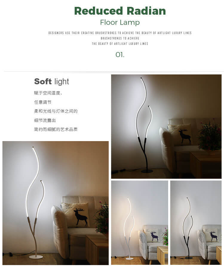 Modern Minimalist Curved Line Floor Lamp