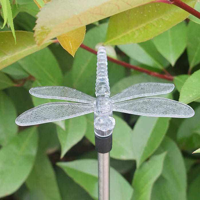 Solar Hummingbird Butterfly Dragonfly Outdoor Light