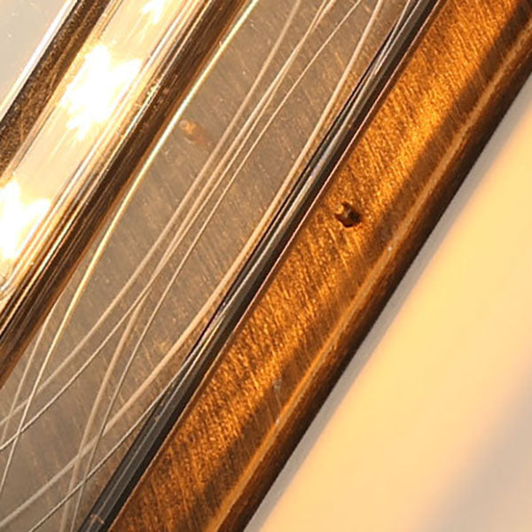 Transparent Cage Outdoor Light