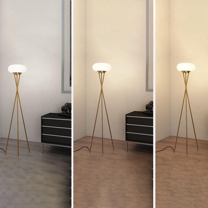 Round Tripod Iron Acrylic Floor Lamp