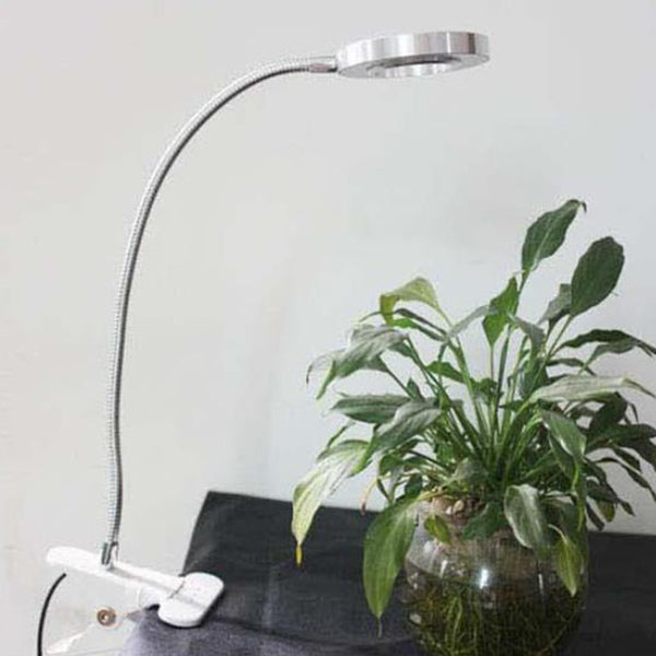 Hose Button Reading Clip Table Lamp