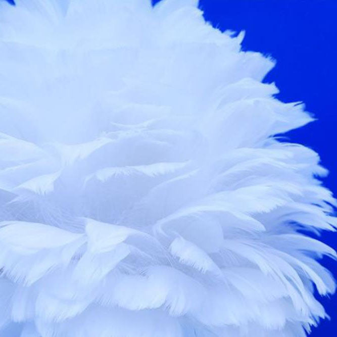 Unicorn Feather Children Table Lamp