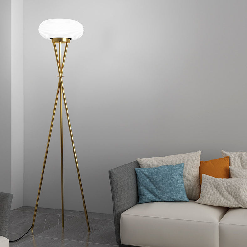 Round Tripod Iron Acrylic Floor Lamp