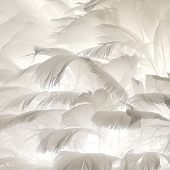 Goose Feather Metal Flamingo Table Lamp