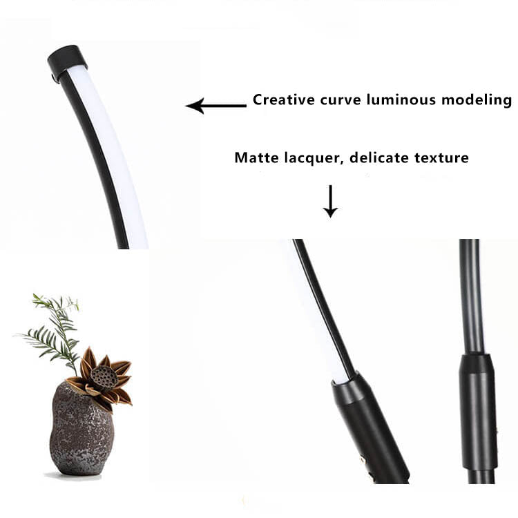 Modern Minimalist Curved Line Floor Lamp