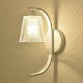 Glass Resin Bird Wall Lamp
