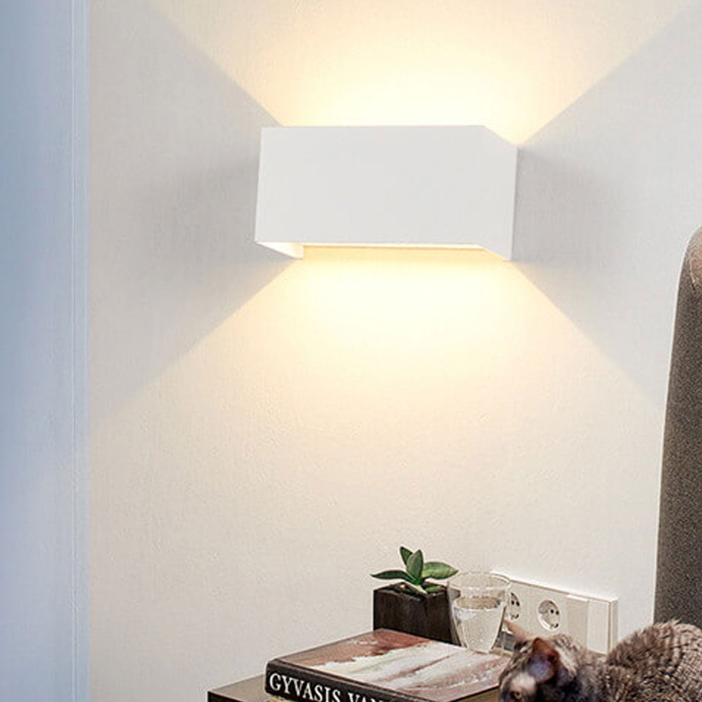Rectangular Up Down Illuminated Outdoor Light