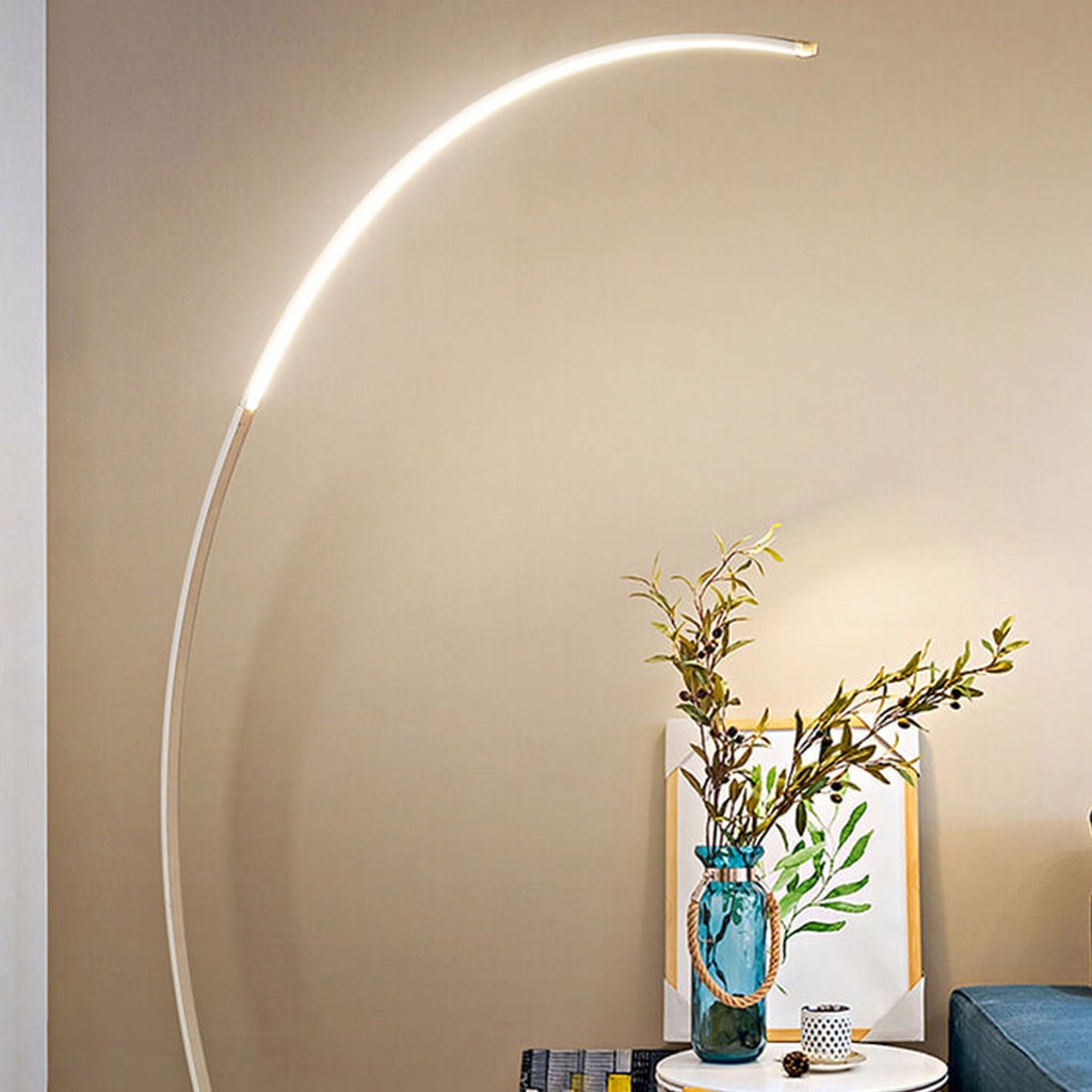Minimalist Curved Line Aluminum Floor Lamp