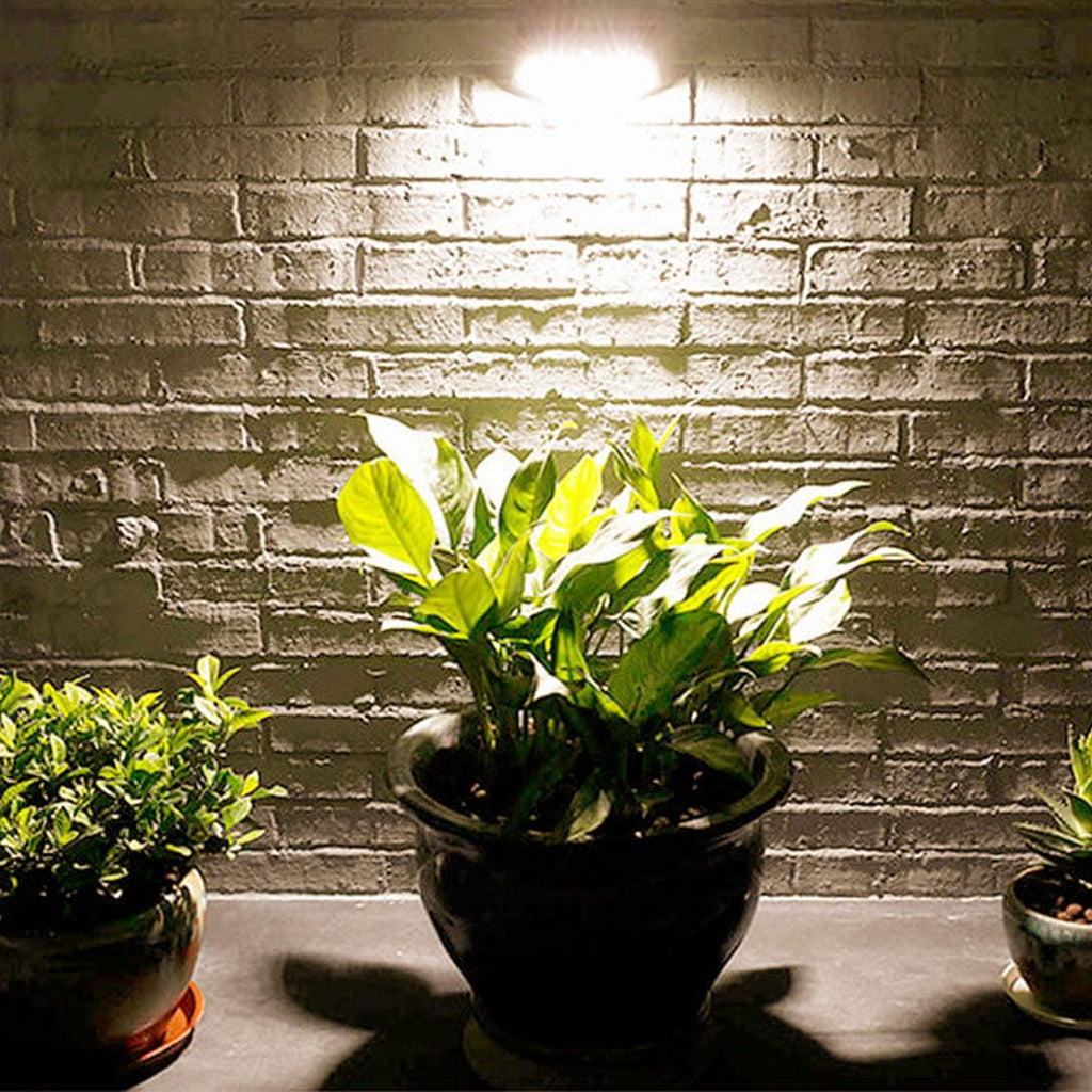 Trapezoid Induction Patio Outdoor Light