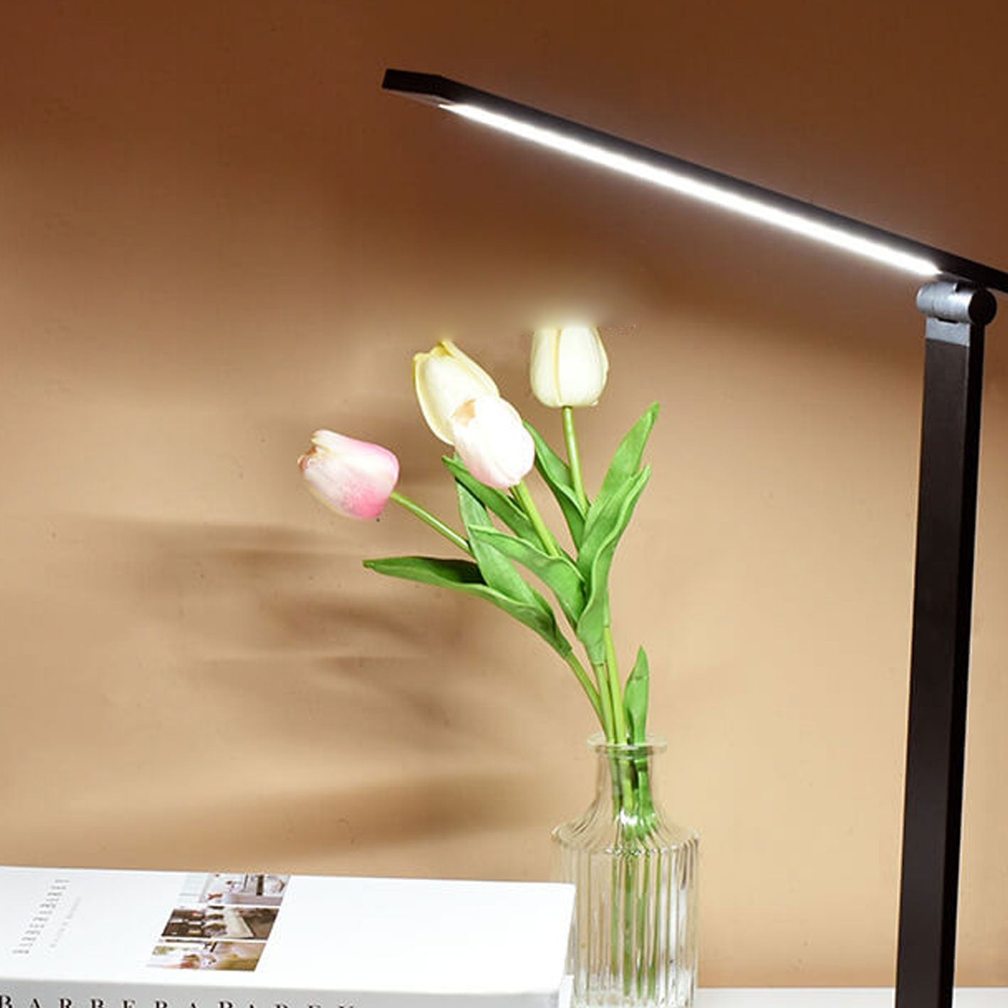 Aluminum Folding Eye Care Table Lamp