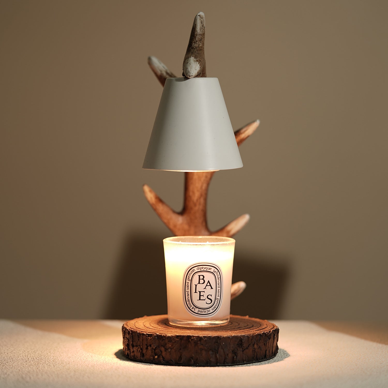 Antler Resin Hardware Aromatherapy Table Lamp