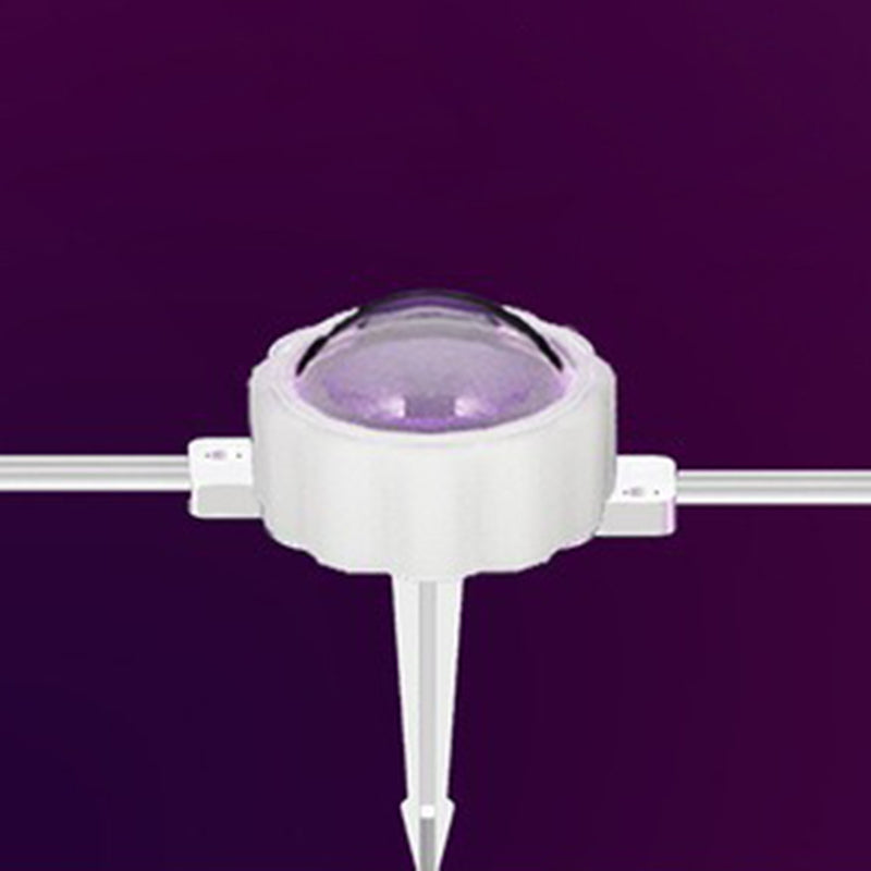 Permanent Roofline Holiday Lights Outdoor Light