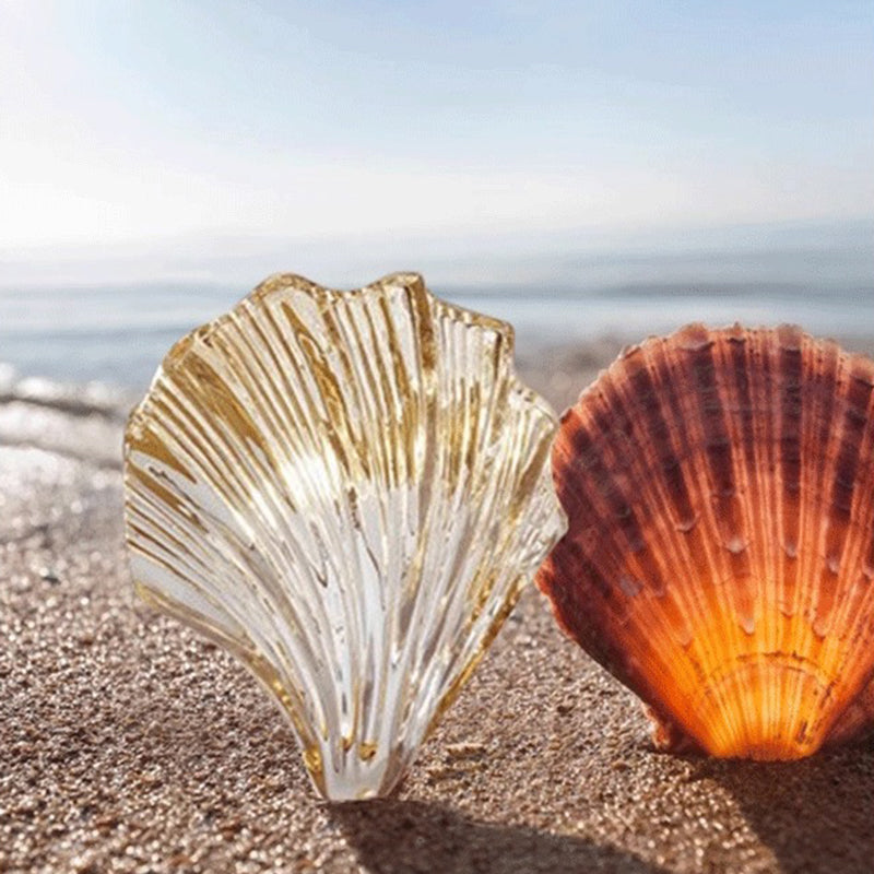 Glass Iron Shell-Shaped Round Wall Lamp