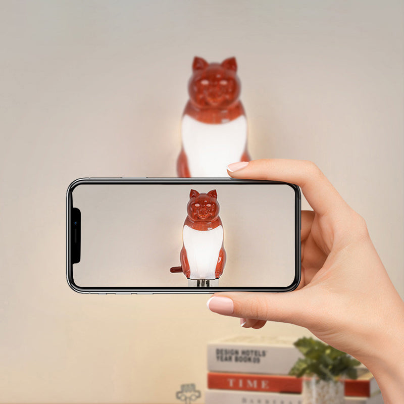 Rechargeable ABS PC Lucky Wall Lamp