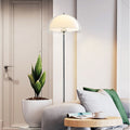 Iron Acrylic Dome-Shaped Living Floor Lamp