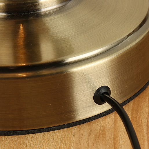 Curved Pole Dome Iron Table Lamp