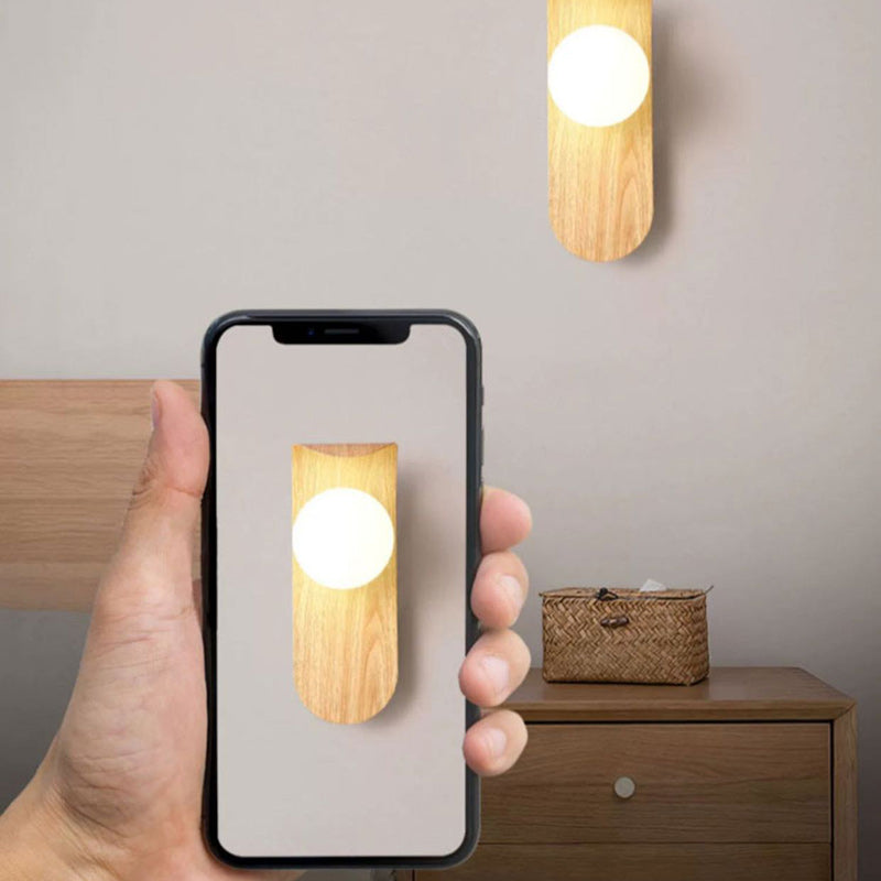 Globe Iron Glass Living Wall Lamp