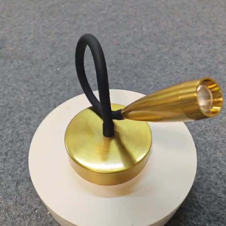 Iron Aluminum Flexible Gooseneck Wall Lamp