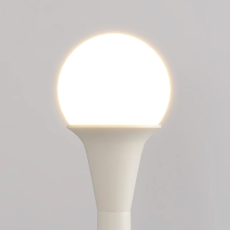 PE Round Ball Iron Floor Lamp
