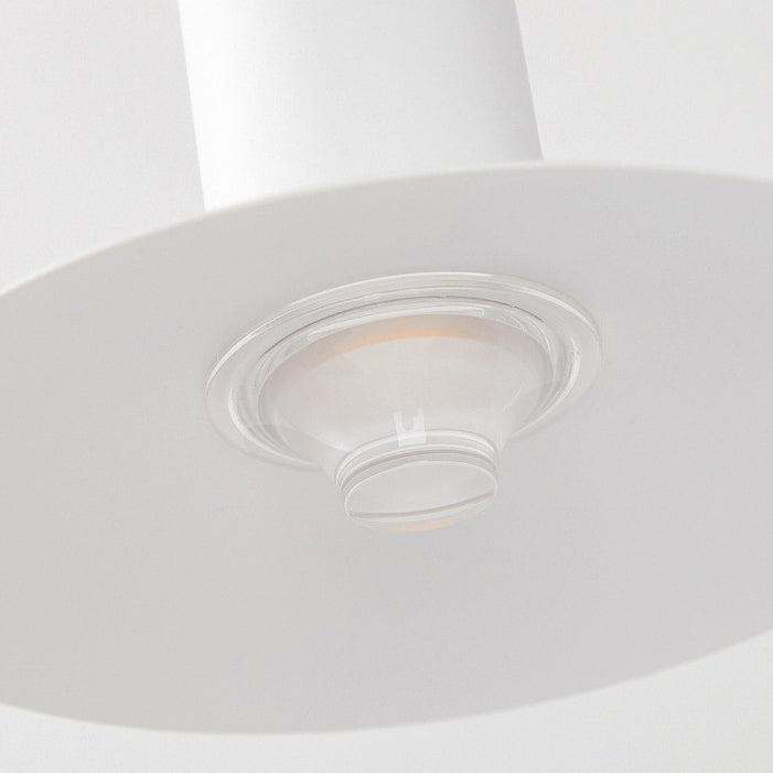 Iron Conical 180° Swing-Arm Wall Lamp