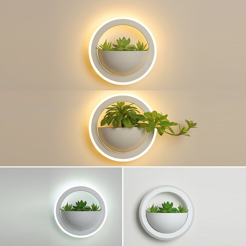 Simulation Plant Round Triangle Wall Lamp
