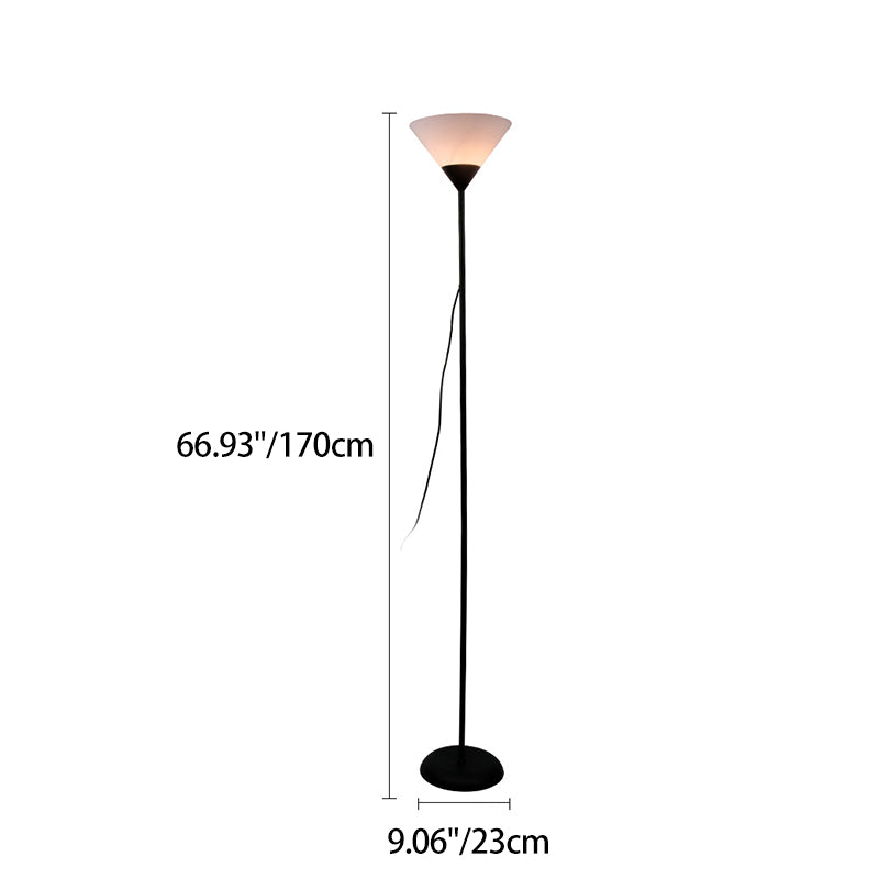 Fan Shape Iron Acrylic Floor Lamp