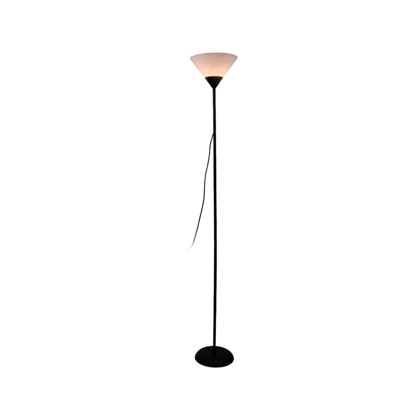 Fan Shape Iron Acrylic Floor Lamp