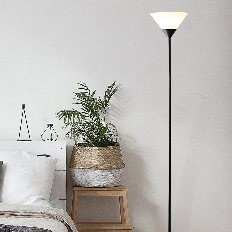 Fan Shape Iron Acrylic Floor Lamp