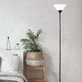 Fan Shape Iron Acrylic Floor Lamp