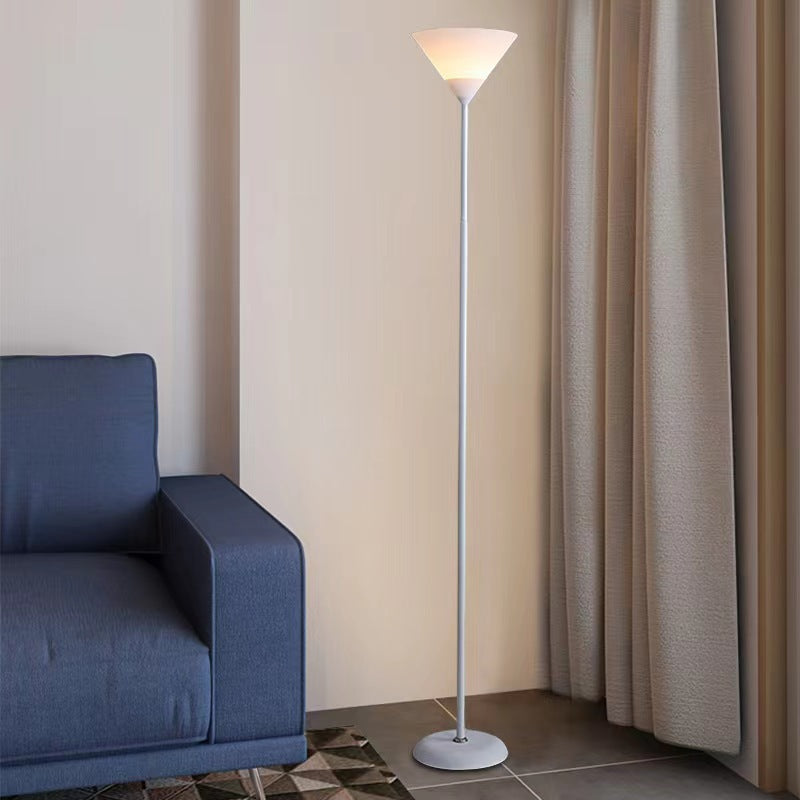 Fan Shape Iron Acrylic Floor Lamp