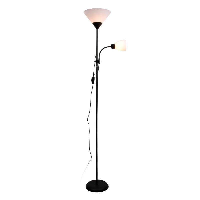 Fan Shape Iron Acrylic Floor Lamp