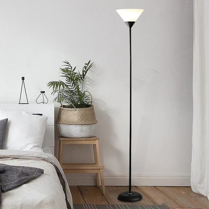 Fan Shape Iron Acrylic Floor Lamp